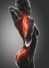 Load image into Gallery viewer, RexMar 55 – High-Grade Marine Fiber Flex Support