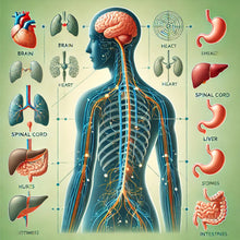 Load image into Gallery viewer, Black Coral Miracle